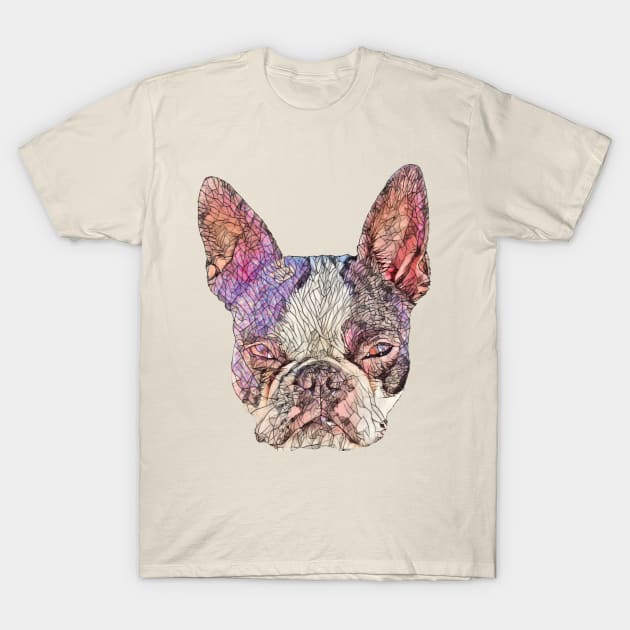 Boston Terrier T-Shirt by DoggyStyles